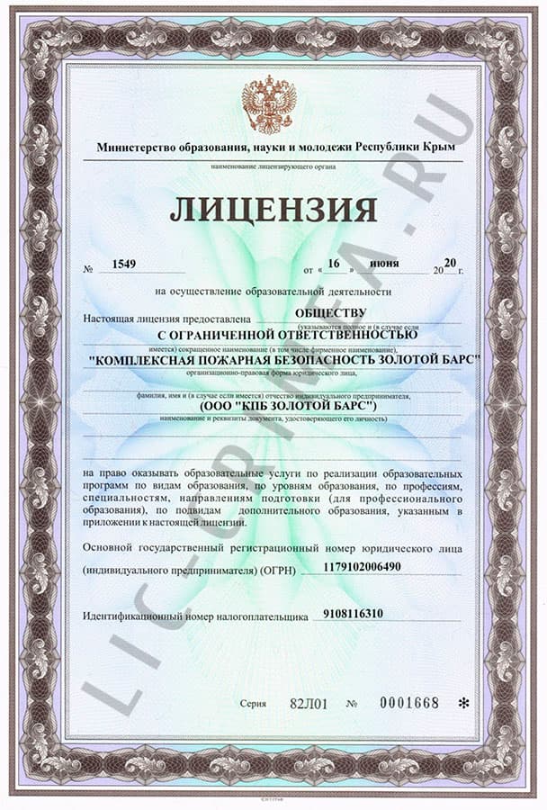Образовательная лицензия ООО